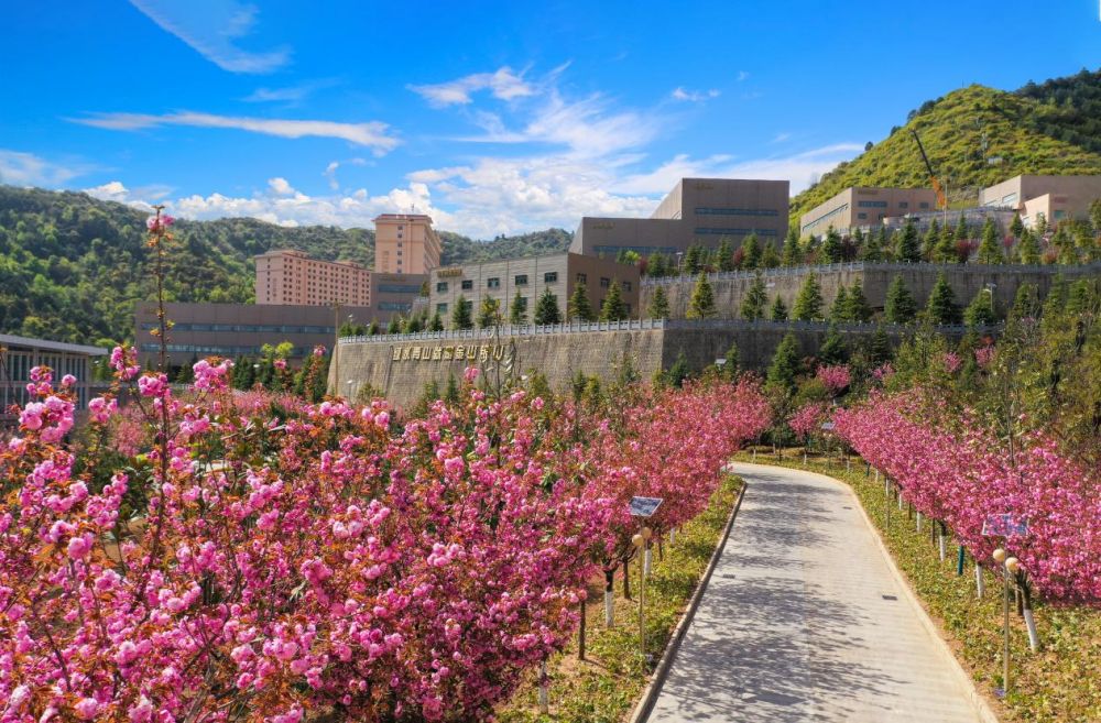 202303041677894228498806.jpg 23.3 (4).jpg